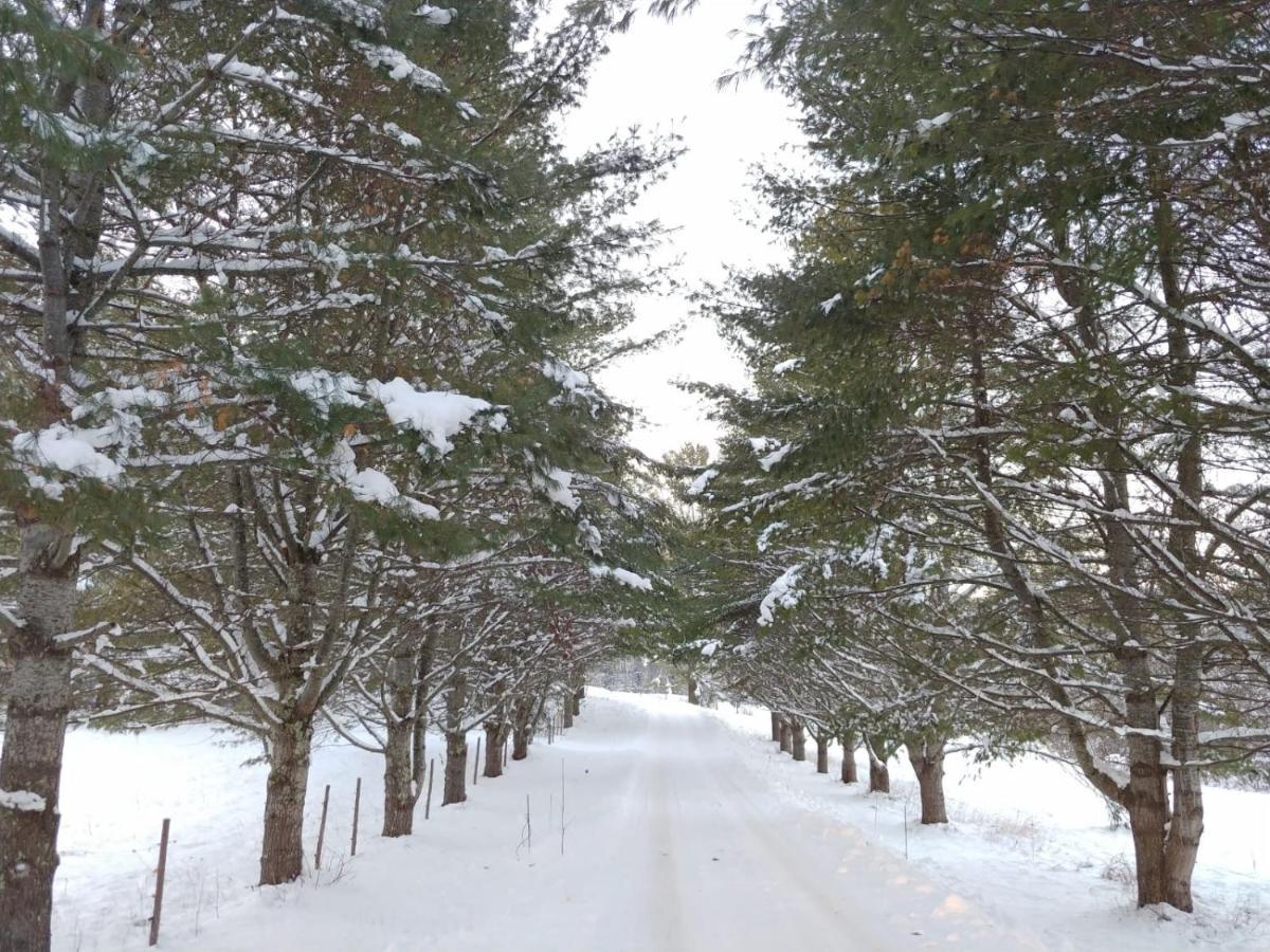 Spacious Country Retreat Close To Town And Nature, Sylvana Farm Vt Montpelier Exteriör bild
