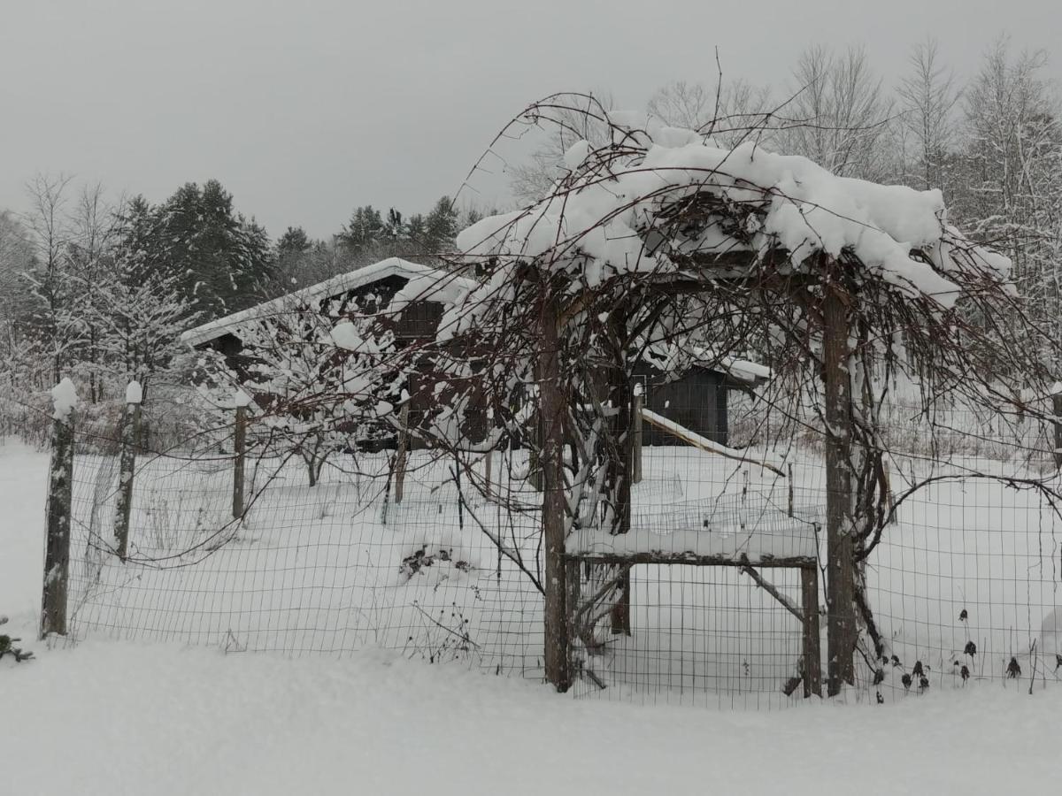 Spacious Country Retreat Close To Town And Nature, Sylvana Farm Vt Montpelier Exteriör bild