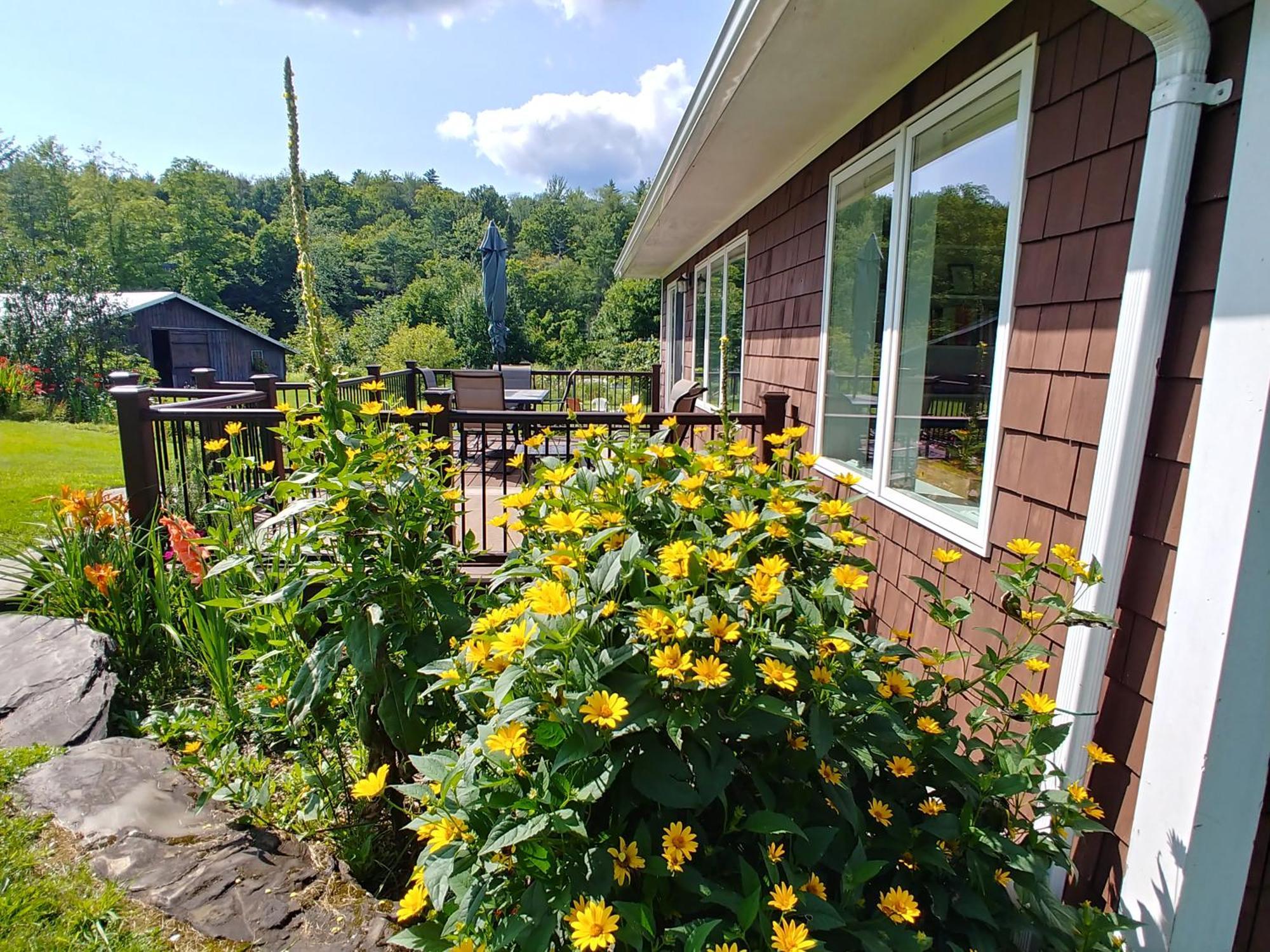 Spacious Country Retreat Close To Town And Nature, Sylvana Farm Vt Montpelier Exteriör bild